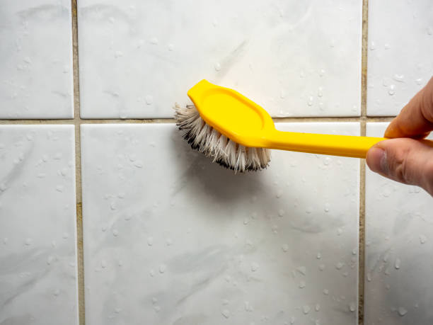 Best Mold Damage Repair  in Pleasureville, KY